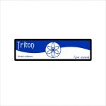 Triton.jpg